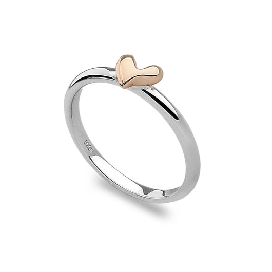 SBC110 Ring