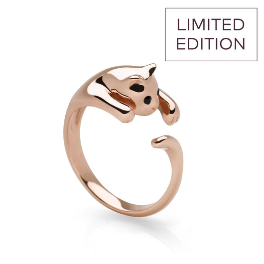 SBC170 Ring