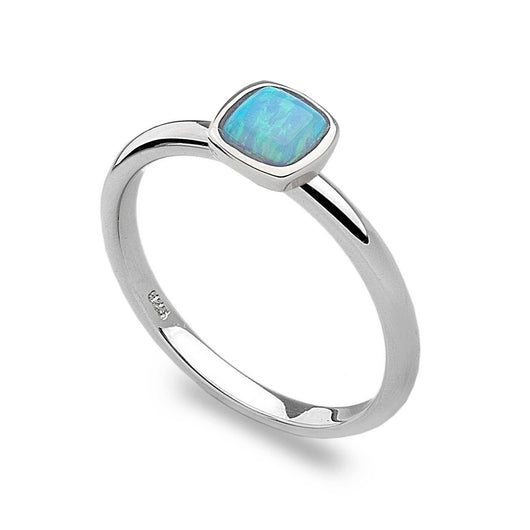 SBC111 Ring