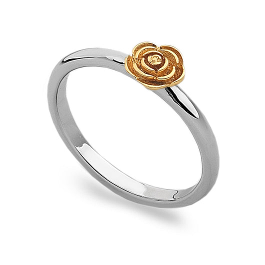 SBC171 Ring